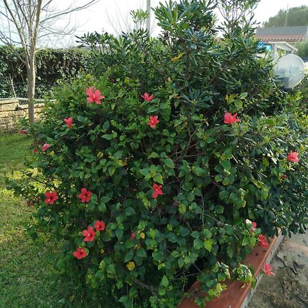 Holiday Home Riserva Marina Protetta Syracuse Ngoại thất bức ảnh